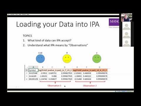 Using Ingenuity Pathway Analysis (IPA) at the University of Manchester