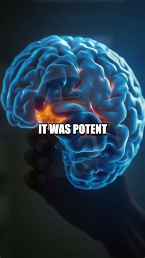 Belief and Brain: The Subtle Science of Expectations