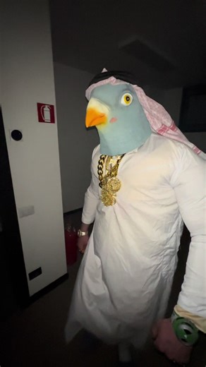 After Workout Insights with MR.PIGEON in Dubai