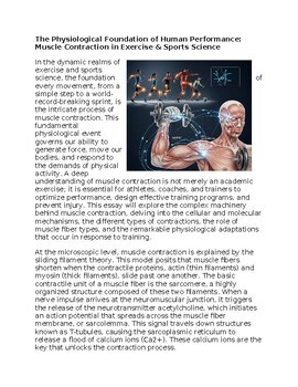 Muscle Contraction in Exercise & Sports Worksheet Subs or Classwork Homework