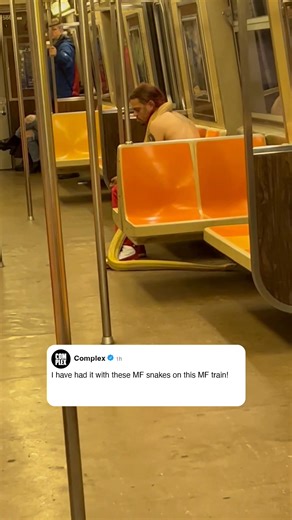 Snakes on a train 🐍 [🎥: via/ explore.withkate ] | Complex