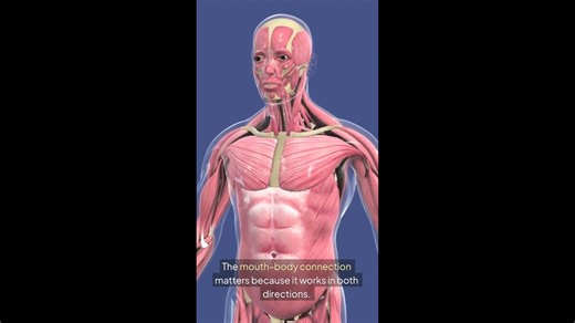 3 The Bidirectional Relationship