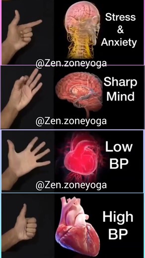 Try these fingers 🤌 moves and control your low BP, High BP and sharp mind.#yoga #facts .