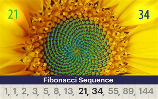 纪录片.大自然的数学.2017[全2集][高清][生肉]