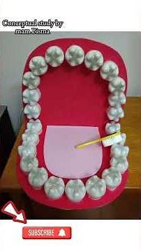 Biology project ideas 2024|biology project models |biology projects |#biologyproject