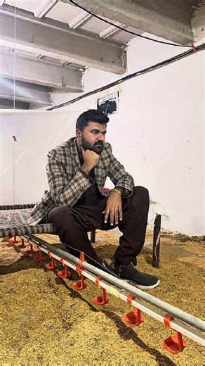 Effective Broiler Control in Poultry Farming