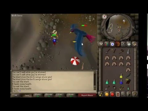 Old School Runescape: Giant Roc Boss Fight