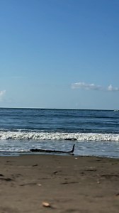 25K views · 398 reactions | GRAND ISLE VIBES ☀️ | Louisiana Girls | Facebook