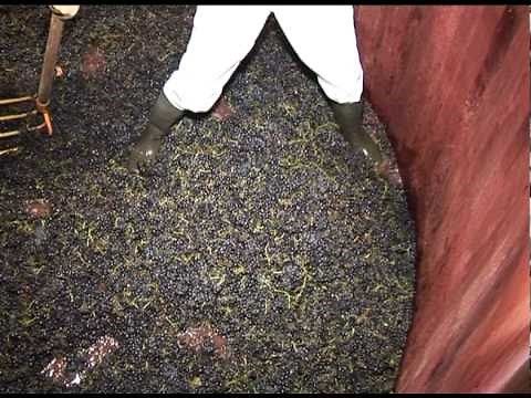 DE LA VIGNE AU VIN by LOTEL DU VIN