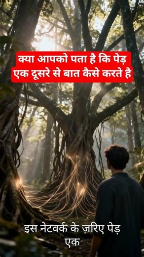 Tree 🎄 Communication Kese Karte Hai 😀