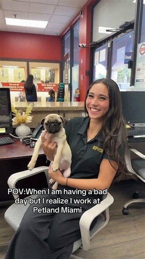 The Best Cure for a Bad Day? Puppy Cuddles! 🐶💖 | Petland Miami