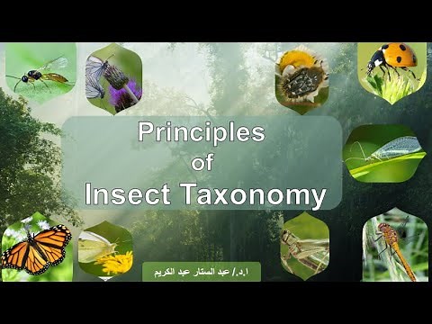 المحاضرة الاولى في أساسيات تقسيم الحشرات - Principles of Insect Taxonomy