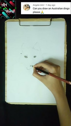 Australian Dingo Drawing