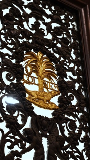 🎅 La magie de Noël s’installe dans le centre-ville de Nîmes ! 🌟 Le cœur de ville s’illumine : vitrines décorées, ambiance festive, gourmandises à partager… sans oublier des animations tous les week-ends ! Pour vos cadeaux de fin d’année, venez vivre l’esprit de Noël et profiter du charme unique du centre-ville ! 🎁 Et samedi 13 décembre, laissez-vous émerveiller par le spectacle aérien “Verne” | Ville de Nîmes