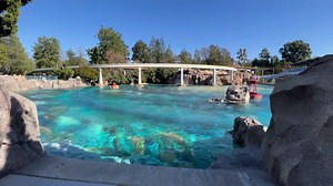 We just got our first look at the platinum-wrapped Disneyland Monorail. It’s so shiny! #disneyparks #disneyland #disney100 #disney #videobyavp | MousePlanet