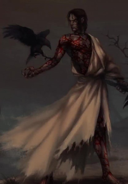 Cuentas recomendadas