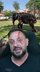 Minha alma está lavada e desejo um feliz natal pra todos