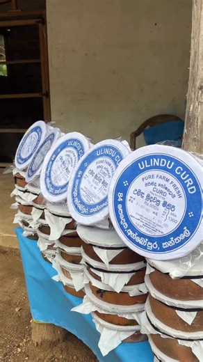 Swapna Vaitla on Instagram: "Srilanka lo curd …. #viral #trending #happy #enjoy #travel #funny #viralvideos #friends #reelsinstagram #reels #YouTube"