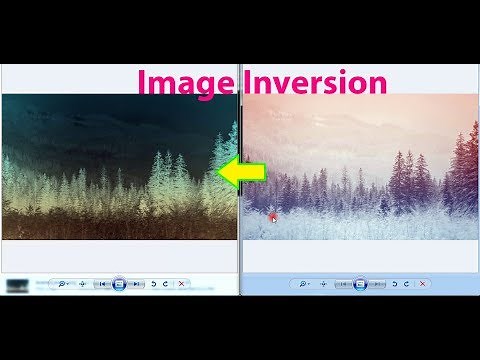 How to Invert the Image Colors Using Python