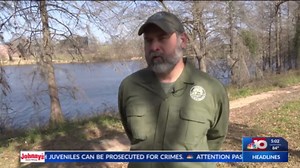 Louisiana Wildlife and Fisheries to expand black bear hunting