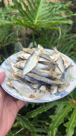 Mildly Salted Dried Fish - Salinas Style