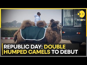 Republic Day: Indian Army’s Rare Bactrian Camels to March in Parade | WION