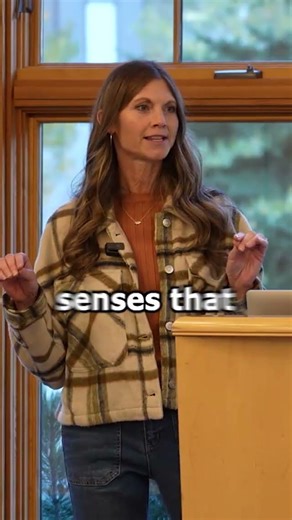 Early handling begins to shape how puppies experience the world.