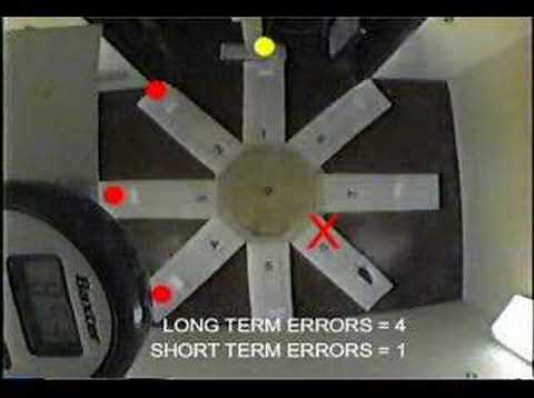 Learning and Memory: Radial arm maze Part 2