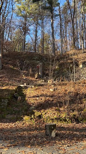 14 reactions · 4 comments | I might change Fridays to “sketchy tree work day”. An Old Maple tree that was filled with concrete at some point. I’m glad I started at the top and worked my way down the stem. I would have destroyed my saw trying to do a straight hinge and drop. Stay safe out there. #treeservicenearme #treeservicecompany | Team Sweno Tree Service | Facebook