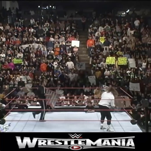 2.4K views · 27 reactions | Mankind vs. The Rock — WWE Title Ladder Match Raw, Feb. 15, 1999 | Lovelymimi 865 | Facebook