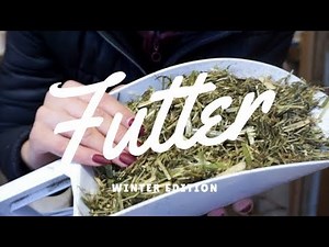 Futterroutine - Das fütter ich meinem Pferd im Winter! | PIA