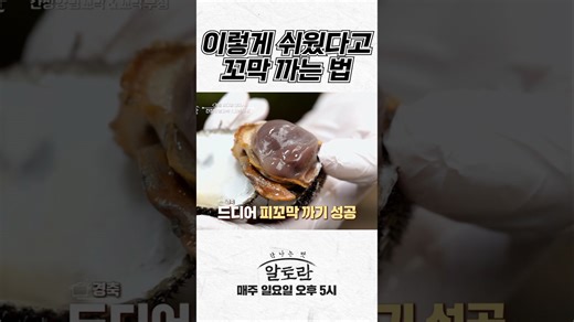 진짜? 이렇게 쉬웠다고?! 초보도 100% 성공하는 꼬막 까는 방법