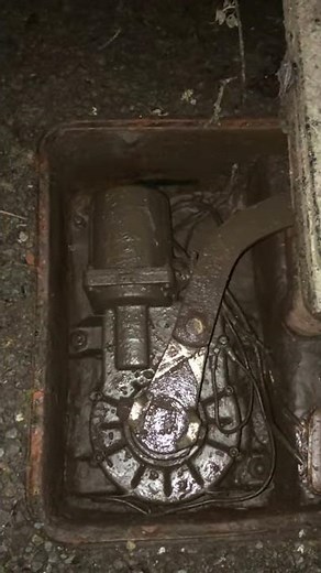 Came Frog Underground motor, one opening, the other closing