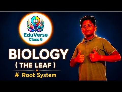 The Leaf || ICSE Class 6 || Chapter 1 Selina || Part 1||