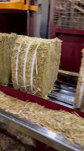 875 reactions · 6 comments | Pressing fescue straw today headed for South Korea #hay #straw #haypress #boundshay #hayx | Jesse Bounds | Facebook