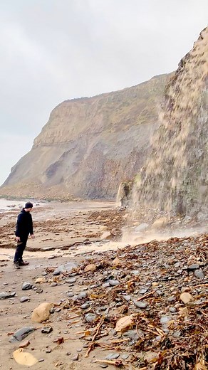 1.9M views · 10K reactions | Here is an ammonite rock that we found...