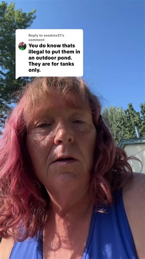 Benefits of Keeping Goldfish in a Pond