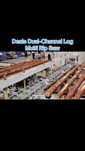 Deale Dual-Channel Log Multi Rip Saw Two logs with different diameters processed at the same time. ✔ Dual feeding channels ✔ Different blade diameters installed ✔ Reduced kerf loss ✔ Higher output & higher efficiency Designed for sawmills that process mixed log sizes every day. One machine. More yield. Less waste. #DealeSaw #LogSaw #WoodProcessing #HigherYield | Deale Sawmill Machinery