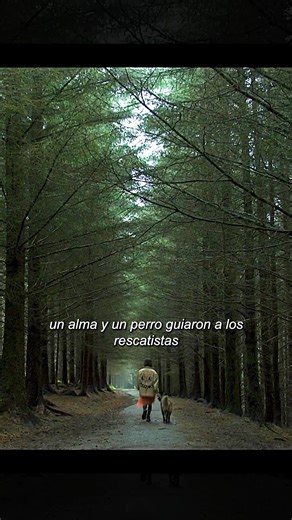 #movie #fyp #foryou #fil | movie recommendation clips