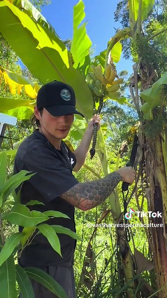 TikTok - Make Your Day