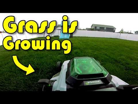 Mid April Mowing | ASMR Lawn Care | Satisfying POV