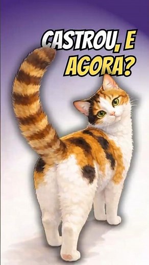 Does a cat change when it is neutered?