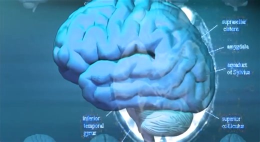 15K views · 407 reactions | Vtip, smiech  a práca mozgu  Pri smiechu z vtipu sa aktivuje celý mozog. Jedna oblasť spracováva obsah vtipu, zatiaľ čo iné vyhodnocujú jeho "vtipnosť". Tento proces prebieha tak rýchlo, že si neuvedomujeme mentálnu analýzu a reagujeme zdanlivo spontánne smiechom . Usmievajte sa, dámy a páni, usmievajte sa! | MUDr. Juraj Šaling - Ambulancia | Facebook