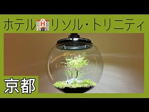 【京都】行く前に必ず見て‼︎‼︎‼︎❤️ホテル🏨リソルトレニティー京都♡京都オススメホテル♡お手頃♡リポート♡リソル♡ビジホ朝食