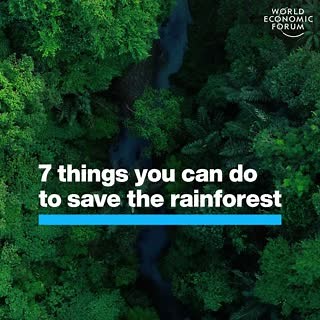 1.9K views · 99 reactions | How are you helping save the rainforest?...