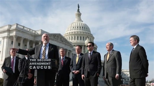 Families and organizations push for new gun laws to protect children