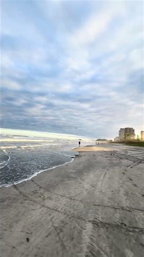 Se os teus olhos forem bons todo teu corpo terá luz !