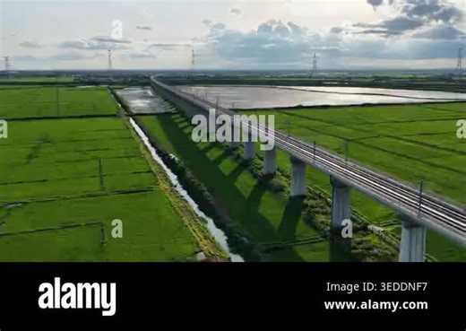 Long elevated train bridge extending across green rice paddies, canal Stock Video Footage - Alamy