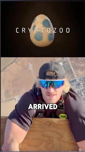 Logan Paul Sold a Crypto Game That Never Showed Up