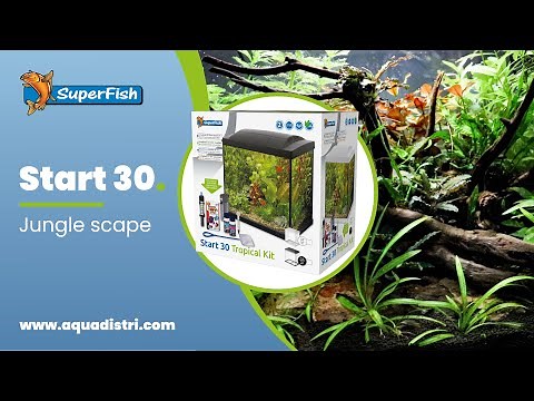 SuperFish Start 30 | Jungle Aquascape